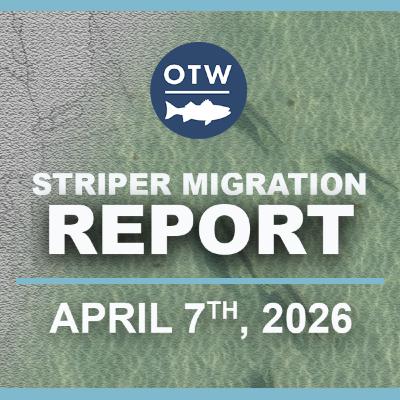 Striper Migration Report | April 7th, 2026