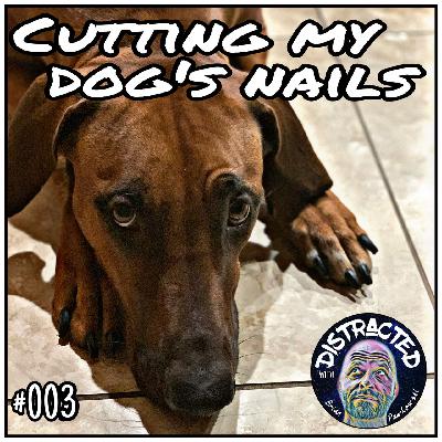 Cutting my dog’s nails