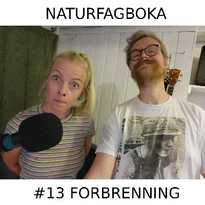 Forbrenning