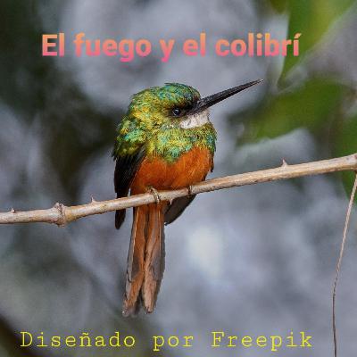 Fábula del colibrí y el fuego (Cuentos cortos para mejorar tu español)