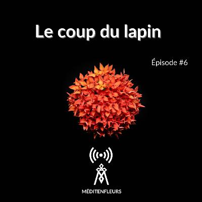Episode 6 : Le coup du lapin