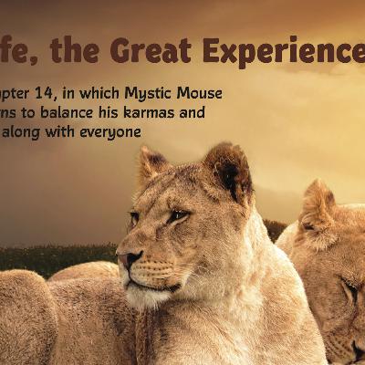 Chapter 14 - Life, the Great Experience