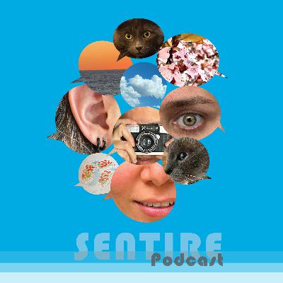 T2.EP12. DISEÑO EDITORIAL/LIBERTAD EN PROCESOS CREATIVOS CON MARIANA BUSTO