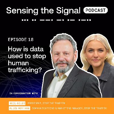 How is data used to stop human trafficking?
