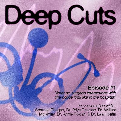 What do surgeon interactions with the police look like in the hospital? — Dr. Priya Prakash, Sharnae Phagan, Dr. William McKinley, Dr. Annie Polcari, and Dr. Lea Hoefer