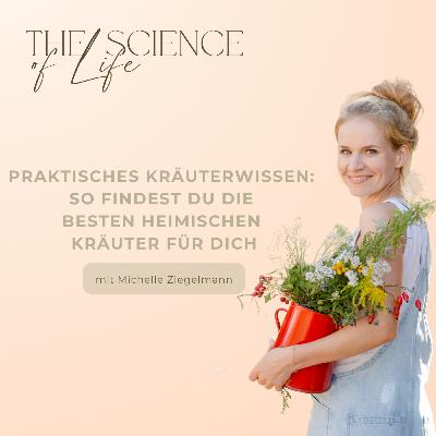 Praktisches Kräuterwissen: So findest du die besten heimischen Kräuter für dich