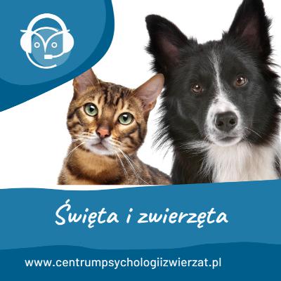 Święta i zwierzęta Święta i zwierzęta