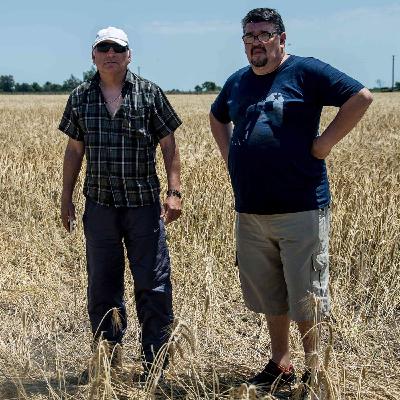 Marcelo Martinich en Radio 2 de Rosario - MALABRIGO Marcelo Martinich en Radio 2 de Rosario - MALABRIGO