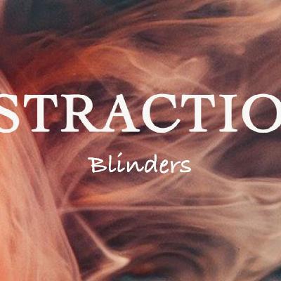 Distractions Series Blinders