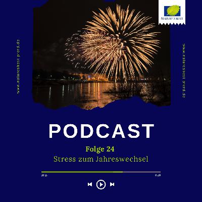 #24 Silvester #24 Silvester