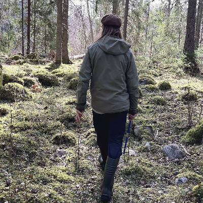 Ingemar går den naturnära vägen med sin skog