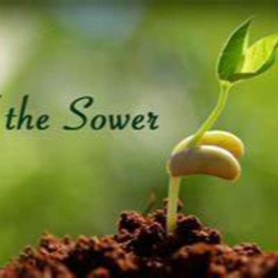 "Other seeds fell on good soil and produced grain, some a hundredfold, some sixty, some thirty" Matthew 13:8 "Other seeds fell on good soil and produced grain, some a hundredfold, some sixty, some thirty" Matthew 13:8