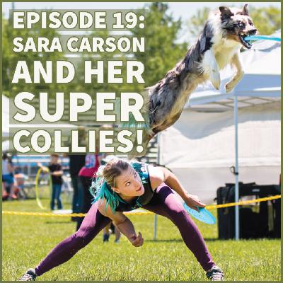 IPPC EPISODE 19: Sara Carson & The Super Collies!