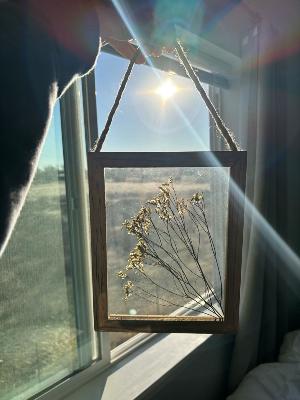 Let Love In Let Love In