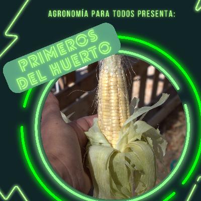 Hablemos de huerto