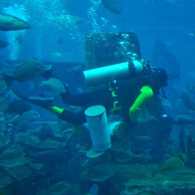 Connecting with our oceans with the Ocean Conservation Trust