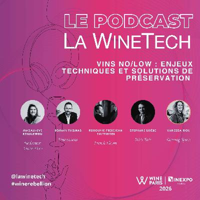 Vins No/Low : enjeux techniques et solutions de préservation