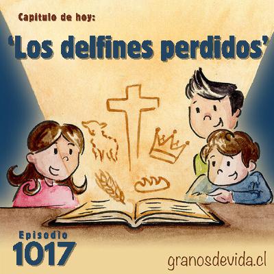 #1017 Los delfines perdidos