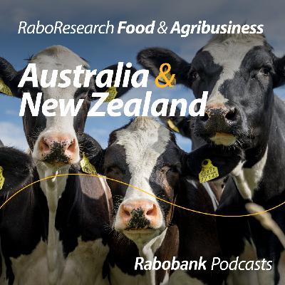 Global dairy outlook: Milk supply gaining momentum