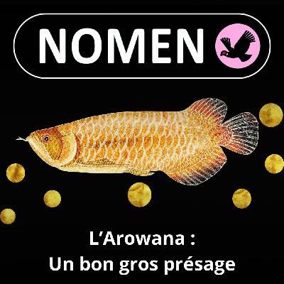 BEST OF D'ÉTÉ #26 : L'Arowana, un "poisson-dragon" porte-bonheur et "feng shui"