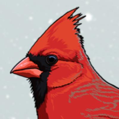 Winter Species Special 2025