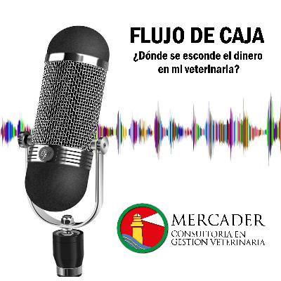 FLUJO DE CAJA. ¿Dónde se esconde el dinero en tu veterinaria?
