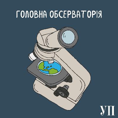 Наука рубати. Як турбота про ліси на словах зводиться до їхнього вирубування на практиці