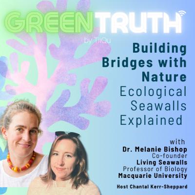 Building Bridges with Nature: Ecological Seawalls explained