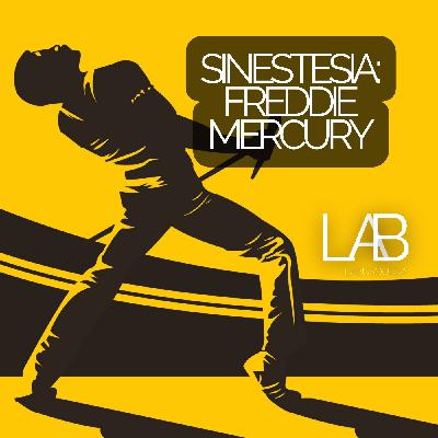 LAB 02: Sinestesia, Freddie Mercury