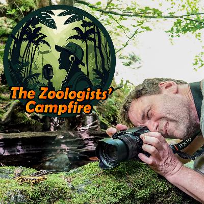 Sergé Bogaerts -fired up for fire salamanders