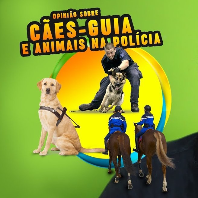 Cães-guia e animais na polícia: opinião de um vegano episode artwork