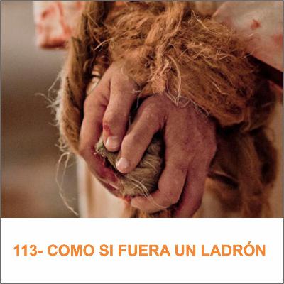 113- COMO SI FUERA UN LADRÓN
