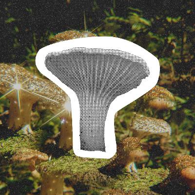 What Are We Going To Do Now? What Are We Going To Do Now?