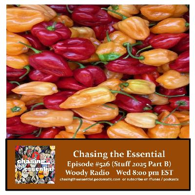 Episode 288: Chasing the Essential - Episode # 526 (Stuff 2025 B)
