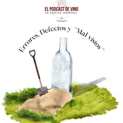 Errores. Defectos y Mal Vistos