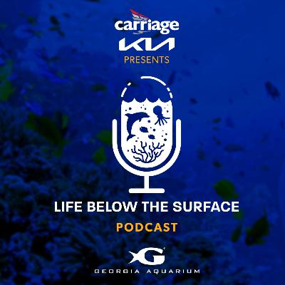 Working Below The Surface