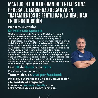 Manejo del Duelo en caso de Prueba de Embarazo Negativa en Tratamientos de Fertilidad Manejo del Duelo en caso de Prueba de Embarazo Negativa en Tratamientos de Fertilidad