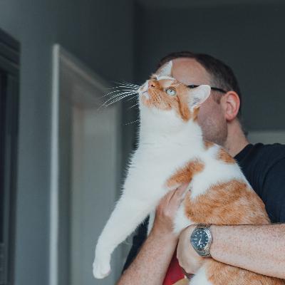 Henry Carden Henry Carden