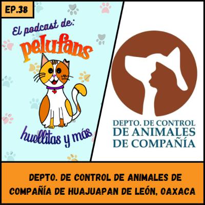 E38| Depto. de control de animales de compañía| | Pelufans, Huellitas y Más