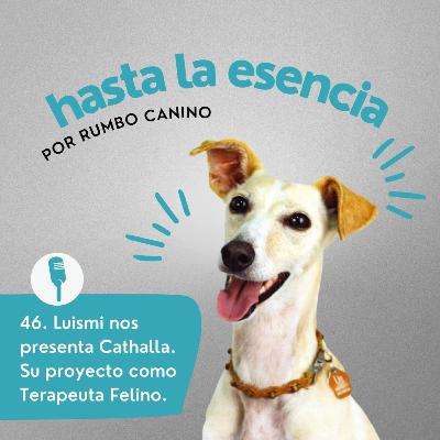 46. Luismi nos presenta Cathalla. Su proyecto como Terapeuta Felino.