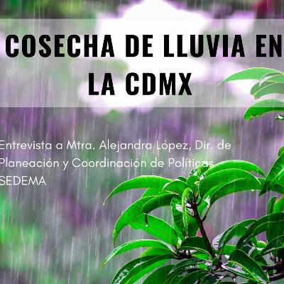 Cosecha de lluvia