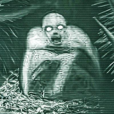 10 Videos de Terror Real en los MONTES APALACHES | PARTE 4