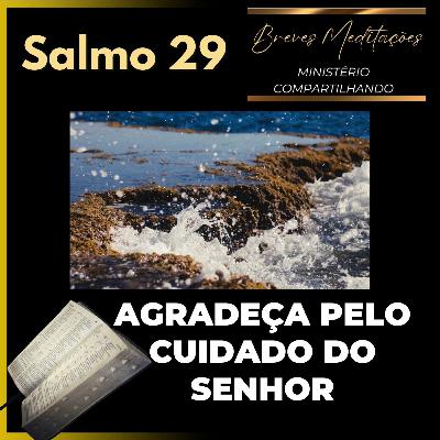 Devocional Diário - Agradeça pelo cuidado do Senhor Devocional Diário - Agradeça pelo cuidado do Senhor