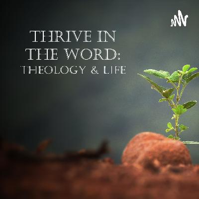 Episode 4 - Crowd Followers v. Disciples