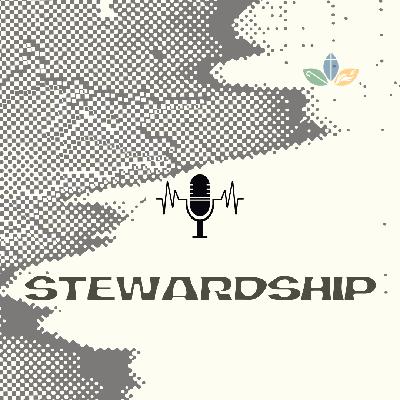 Stewardship: Week 1 Stewardship: Week 1