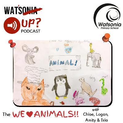 We love animals with Chloe, Logan, Amity & Isla