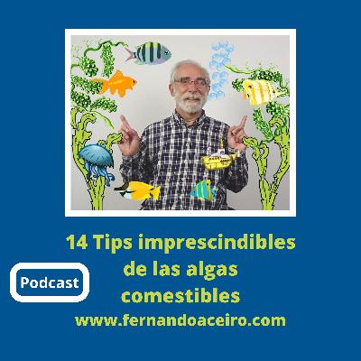 14 Tips imprescindibles sobre LAS ALGAS COMESTIBLES: 😎