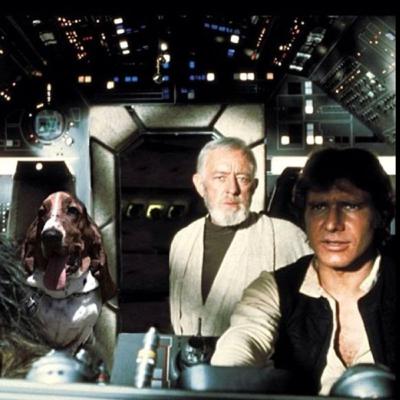 T2E1: La Fuerza