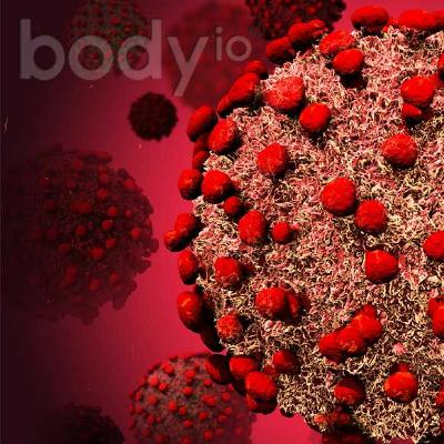 Coronavirus: Media Optics and Myth Busting