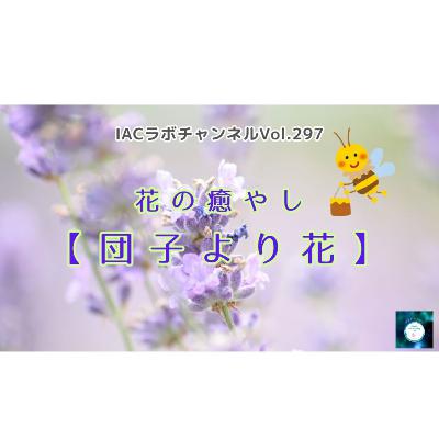 epi.116【団子より花？花の癒やし】